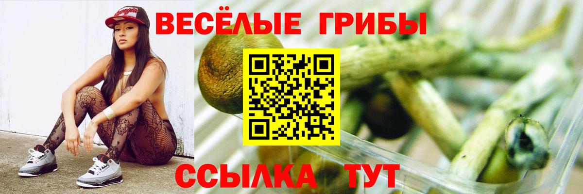 Гатчина  Псилоцибиновые грибы Psilocybine cubensis  Вход с VPN 